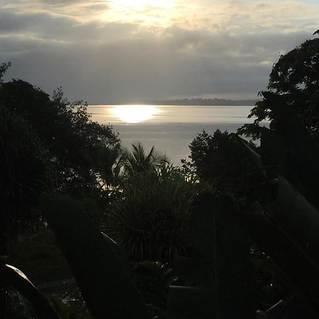 Bed and Breakfast Dolphin Bay Hideaway à Bocas del Toro Extérieur photo