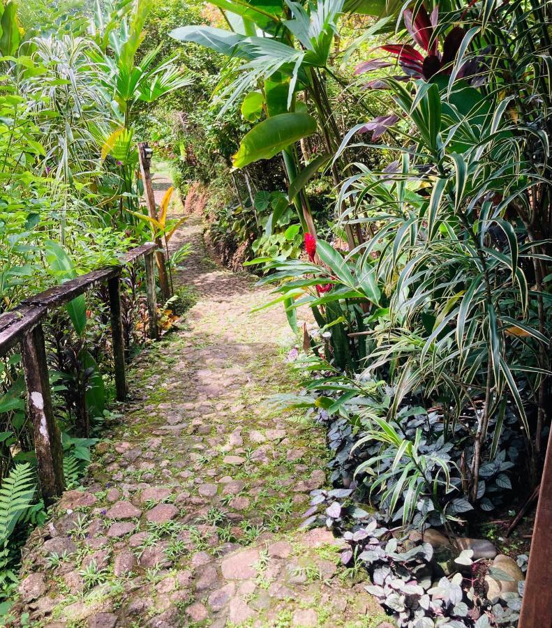 Bed and Breakfast Dolphin Bay Hideaway à Bocas del Toro Extérieur photo