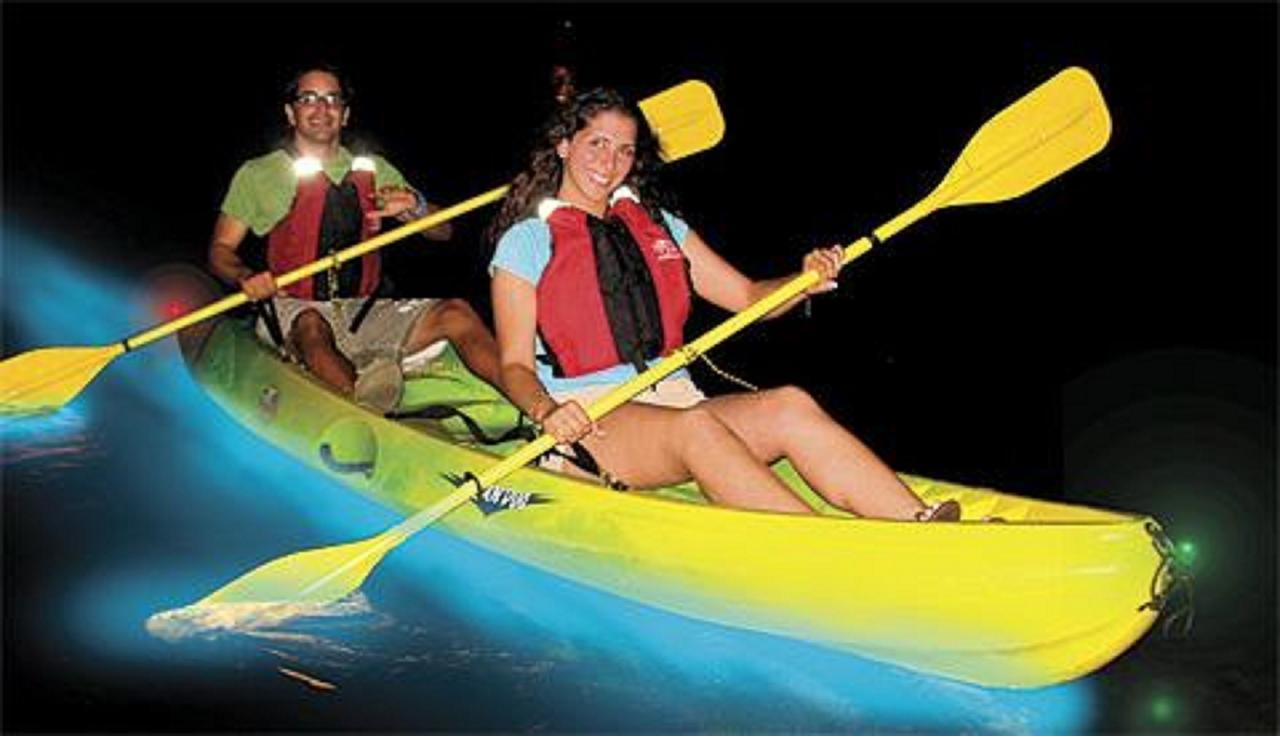 Bed and Breakfast Dolphin Bay Hideaway à Bocas del Toro Extérieur photo