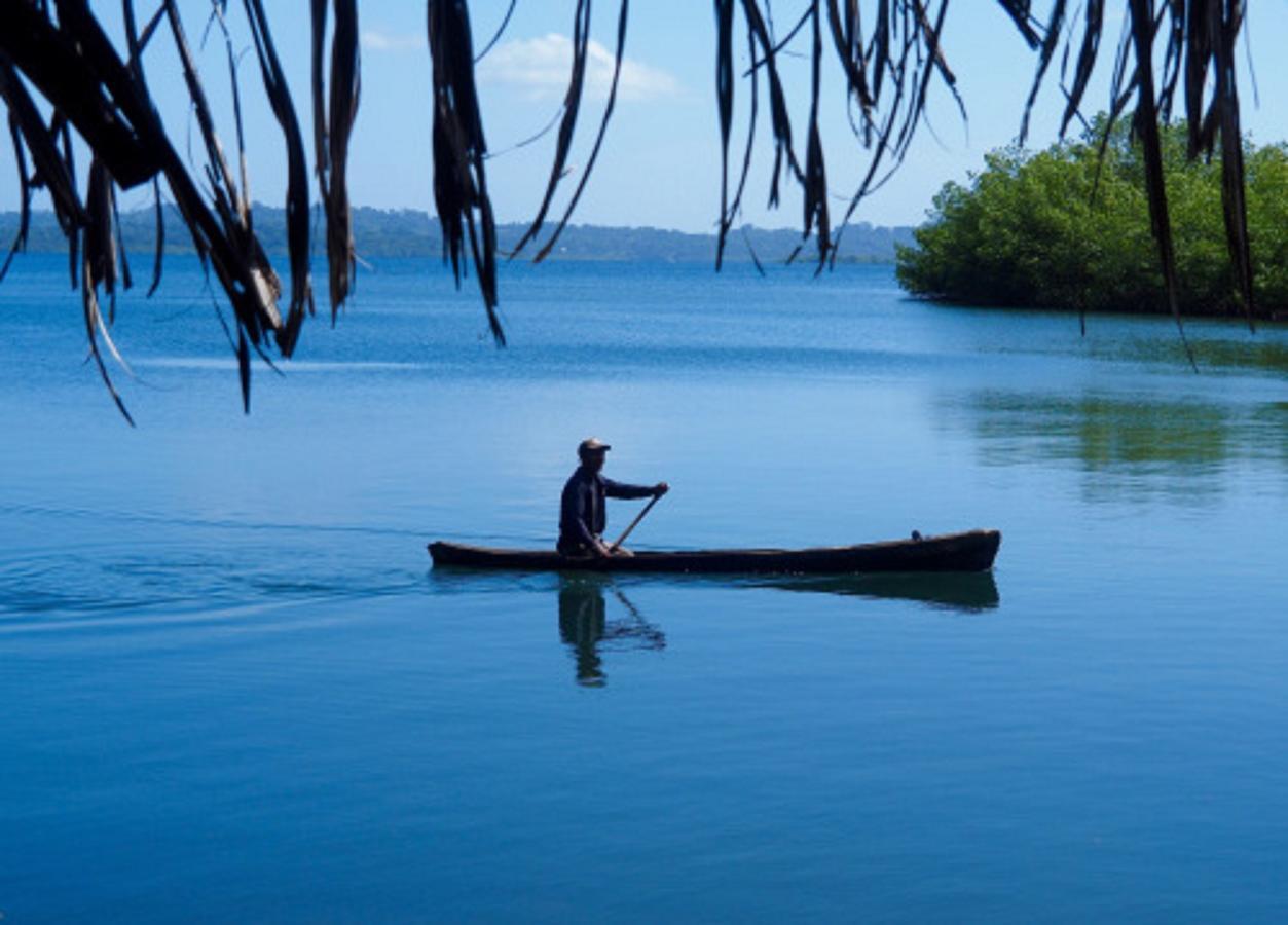 Bed and Breakfast Dolphin Bay Hideaway à Bocas del Toro Extérieur photo