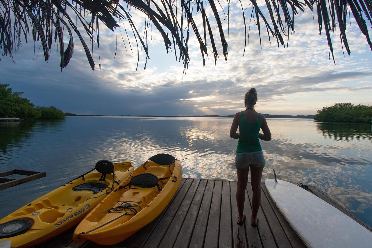 Bed and Breakfast Dolphin Bay Hideaway à Bocas del Toro Extérieur photo