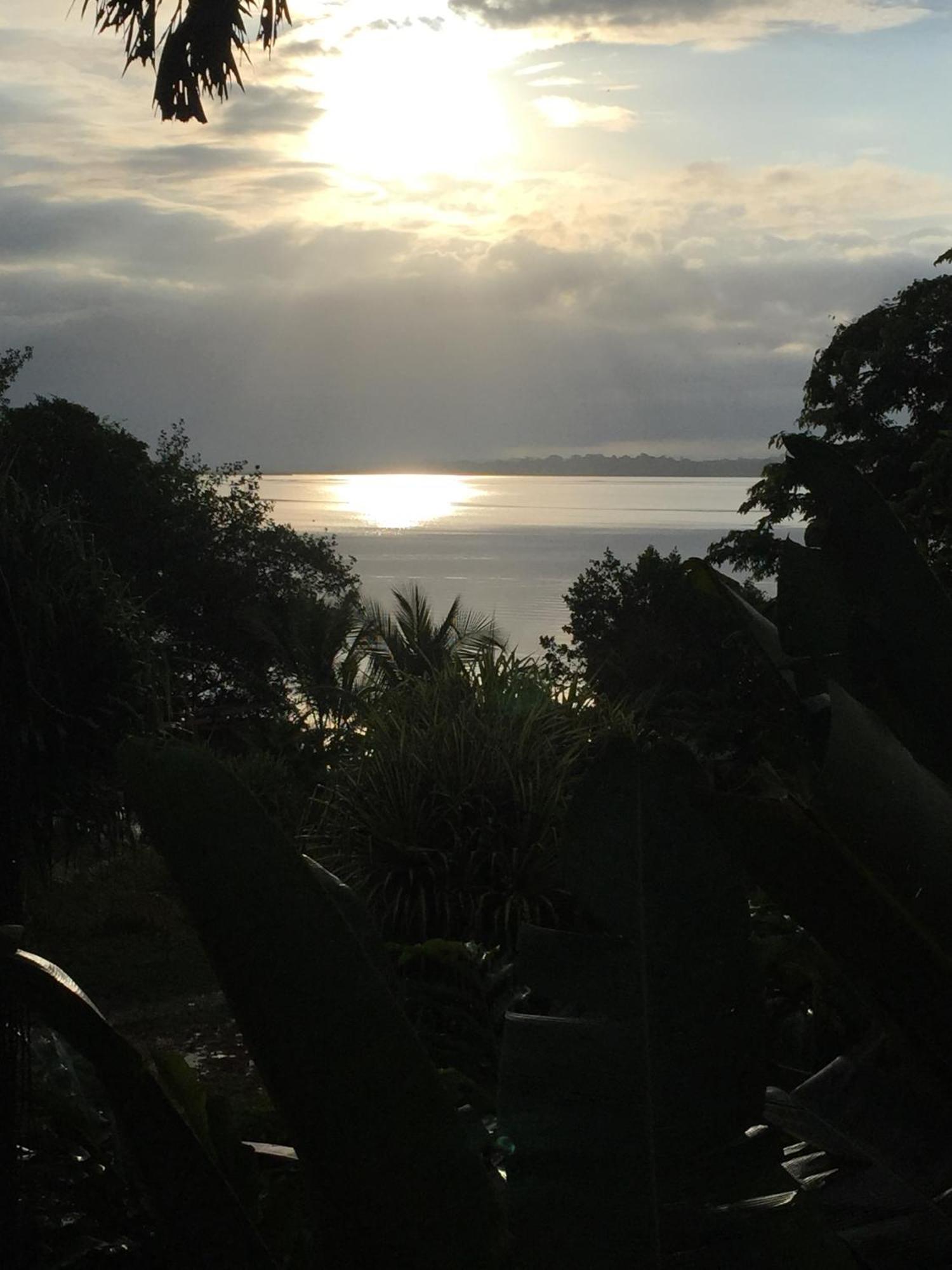 Bed and Breakfast Dolphin Bay Hideaway à Bocas del Toro Extérieur photo