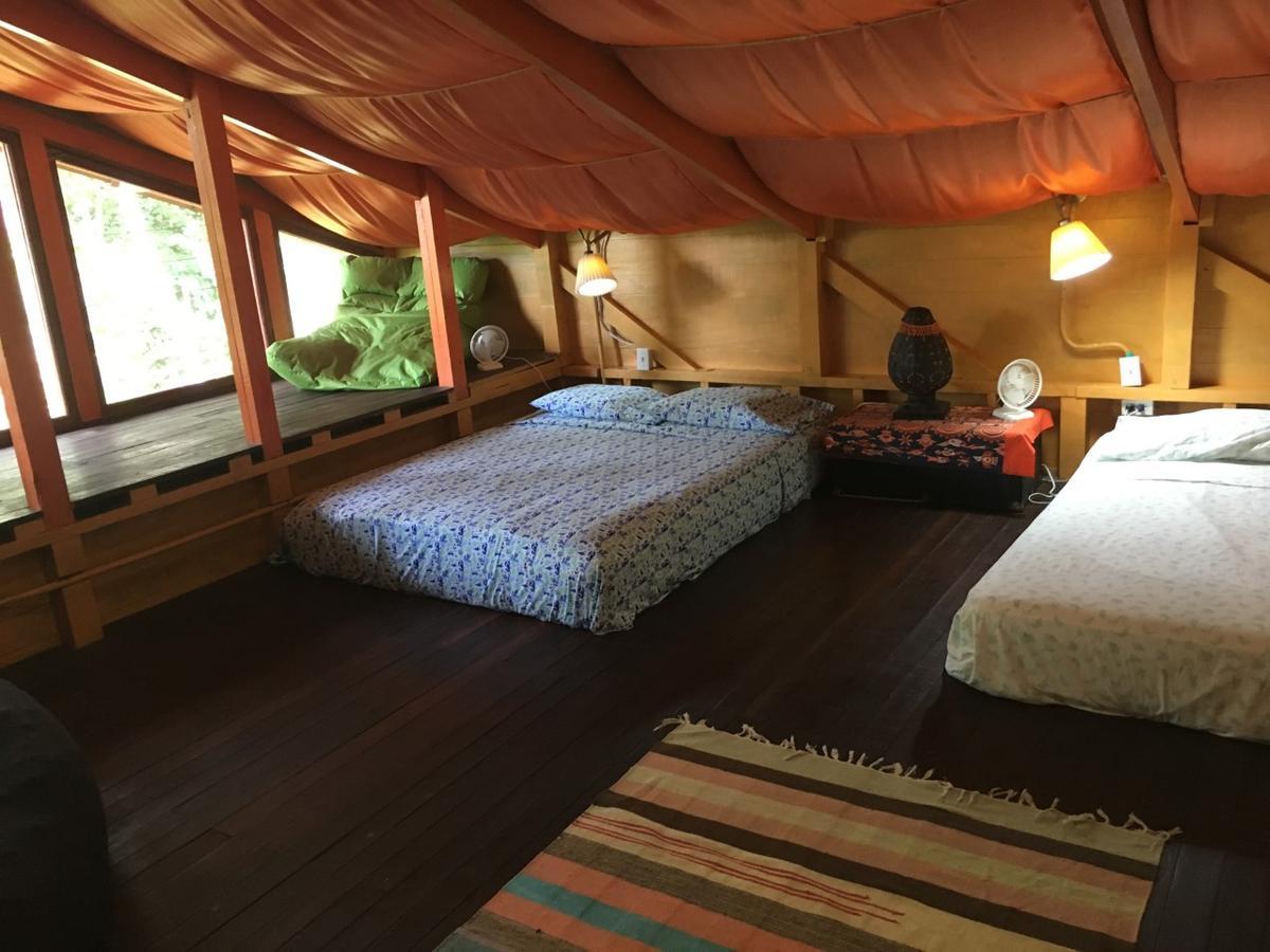 Bed and Breakfast Dolphin Bay Hideaway à Bocas del Toro Extérieur photo