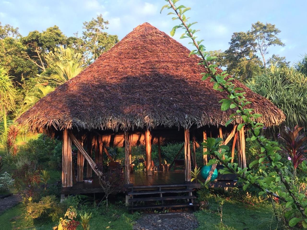 Bed and Breakfast Dolphin Bay Hideaway à Bocas del Toro Extérieur photo