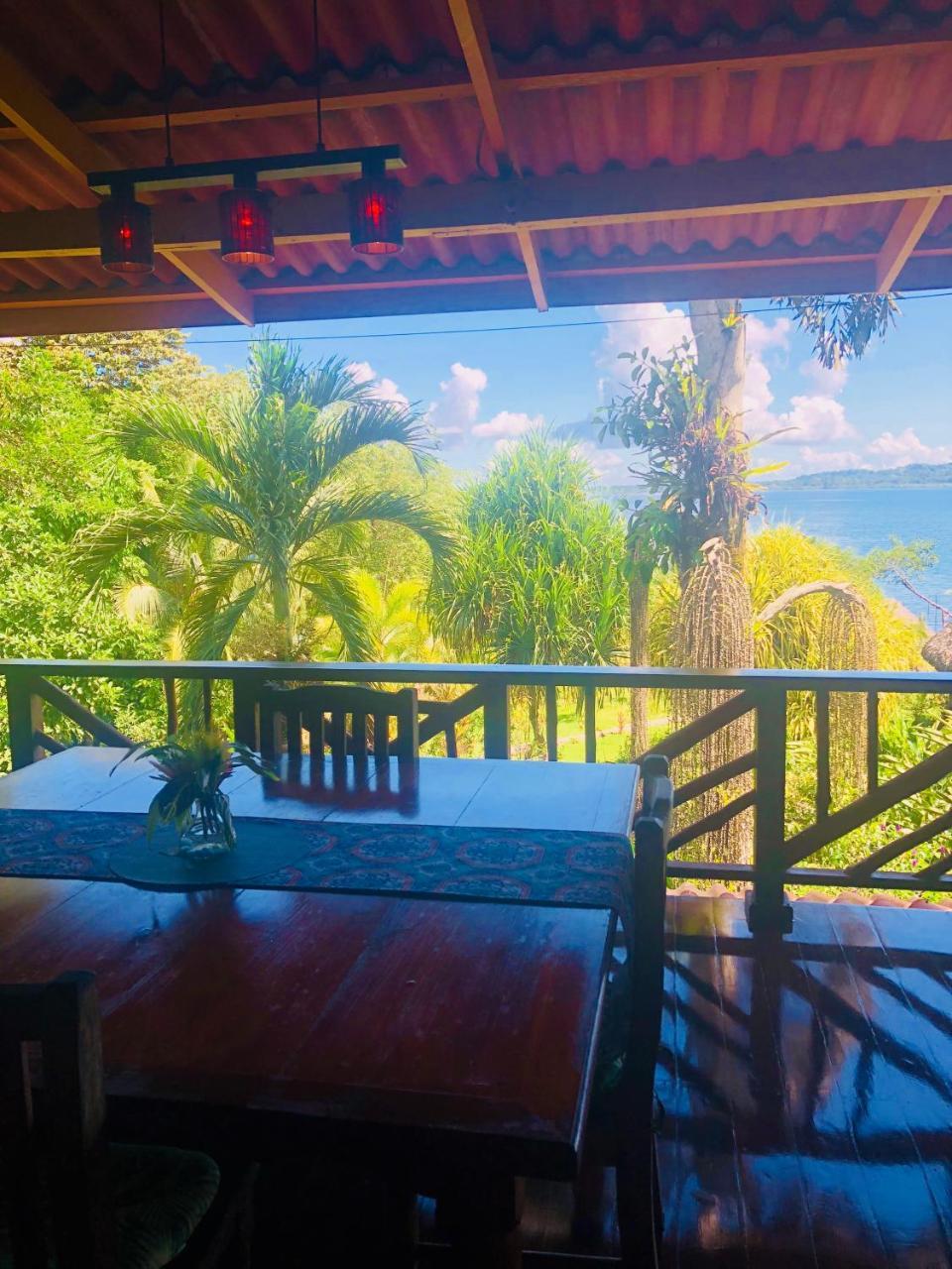 Bed and Breakfast Dolphin Bay Hideaway à Bocas del Toro Extérieur photo