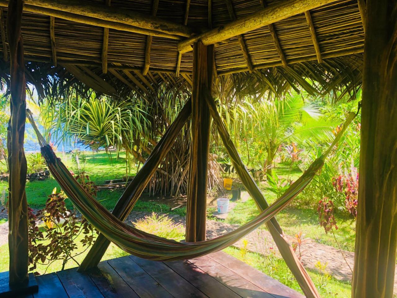 Bed and Breakfast Dolphin Bay Hideaway à Bocas del Toro Extérieur photo