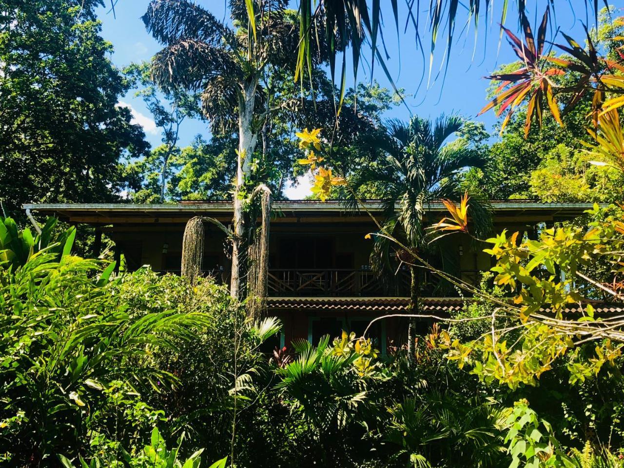 Bed and Breakfast Dolphin Bay Hideaway à Bocas del Toro Extérieur photo