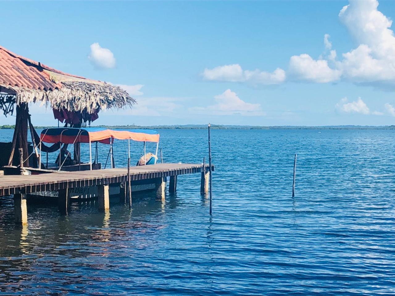 Bed and Breakfast Dolphin Bay Hideaway à Bocas del Toro Extérieur photo