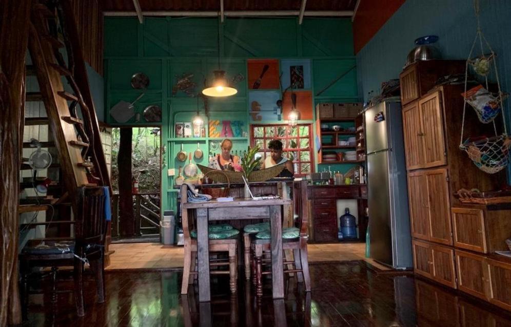 Bed and Breakfast Dolphin Bay Hideaway à Bocas del Toro Extérieur photo