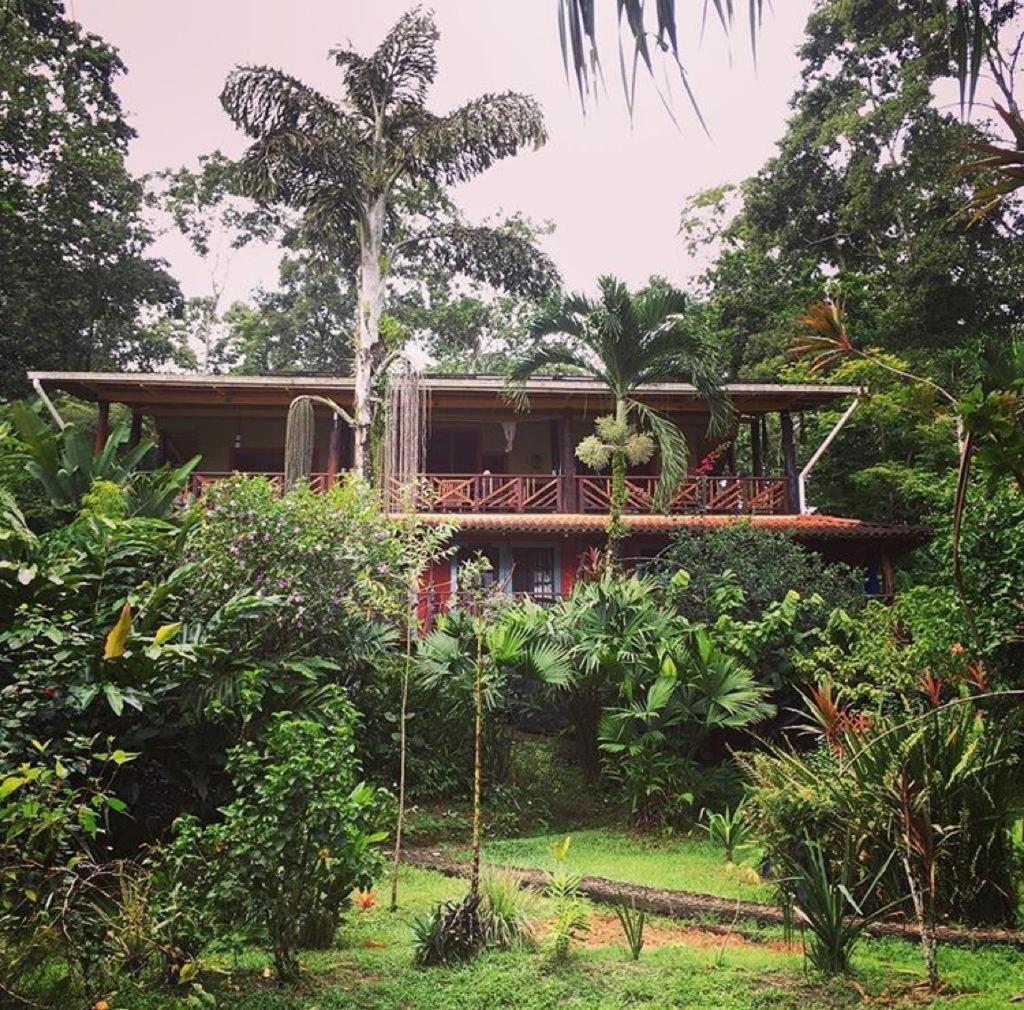 Bed and Breakfast Dolphin Bay Hideaway à Bocas del Toro Extérieur photo