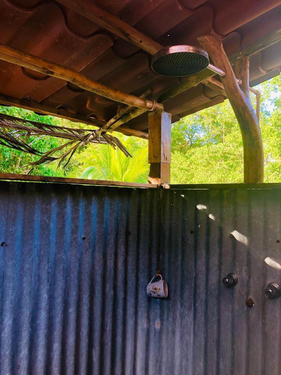 Bed and Breakfast Dolphin Bay Hideaway à Bocas del Toro Extérieur photo