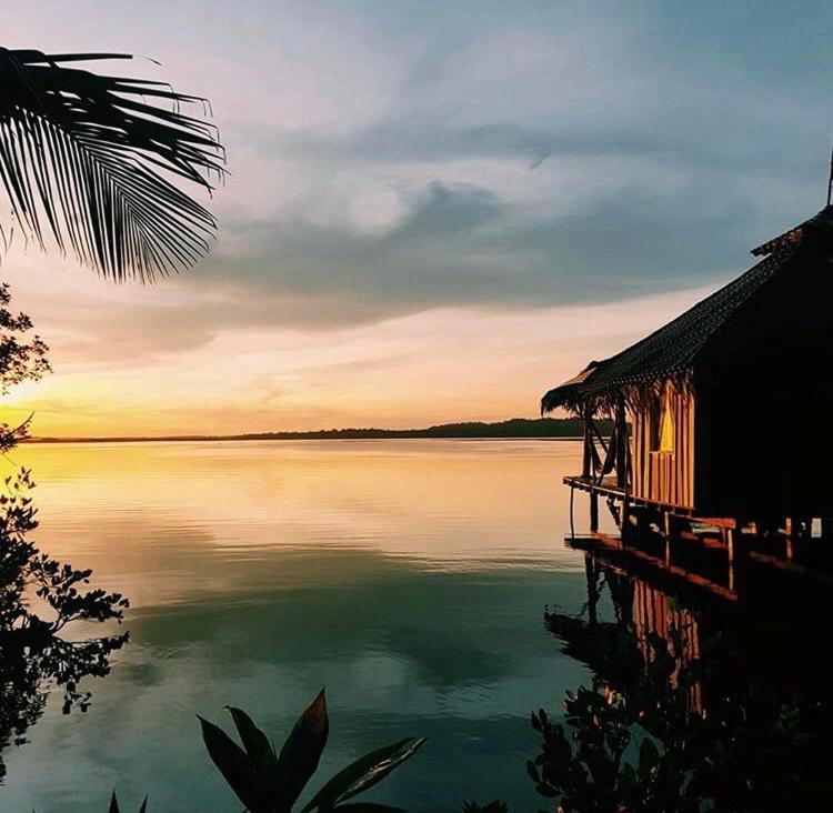Bed and Breakfast Dolphin Bay Hideaway à Bocas del Toro Extérieur photo