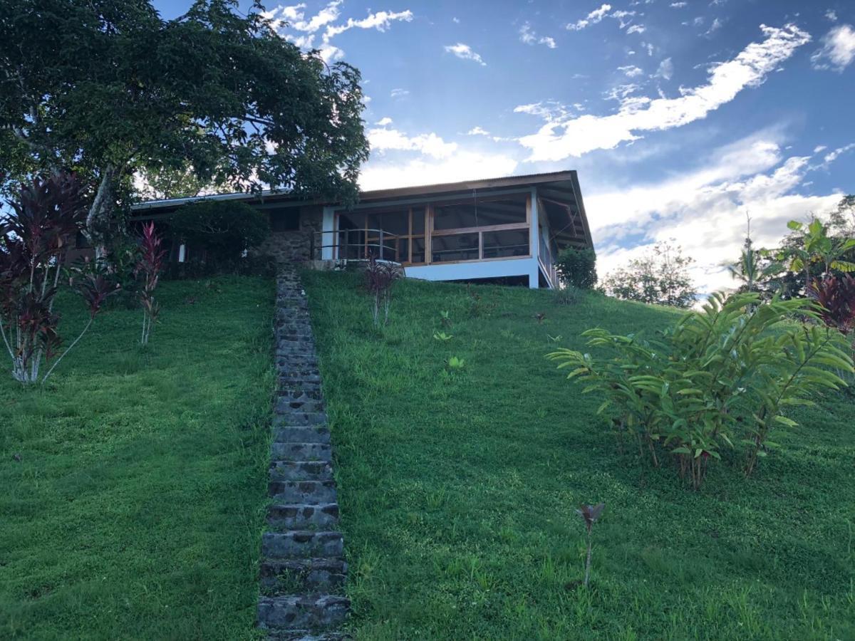 Bed and Breakfast Dolphin Bay Hideaway à Bocas del Toro Extérieur photo